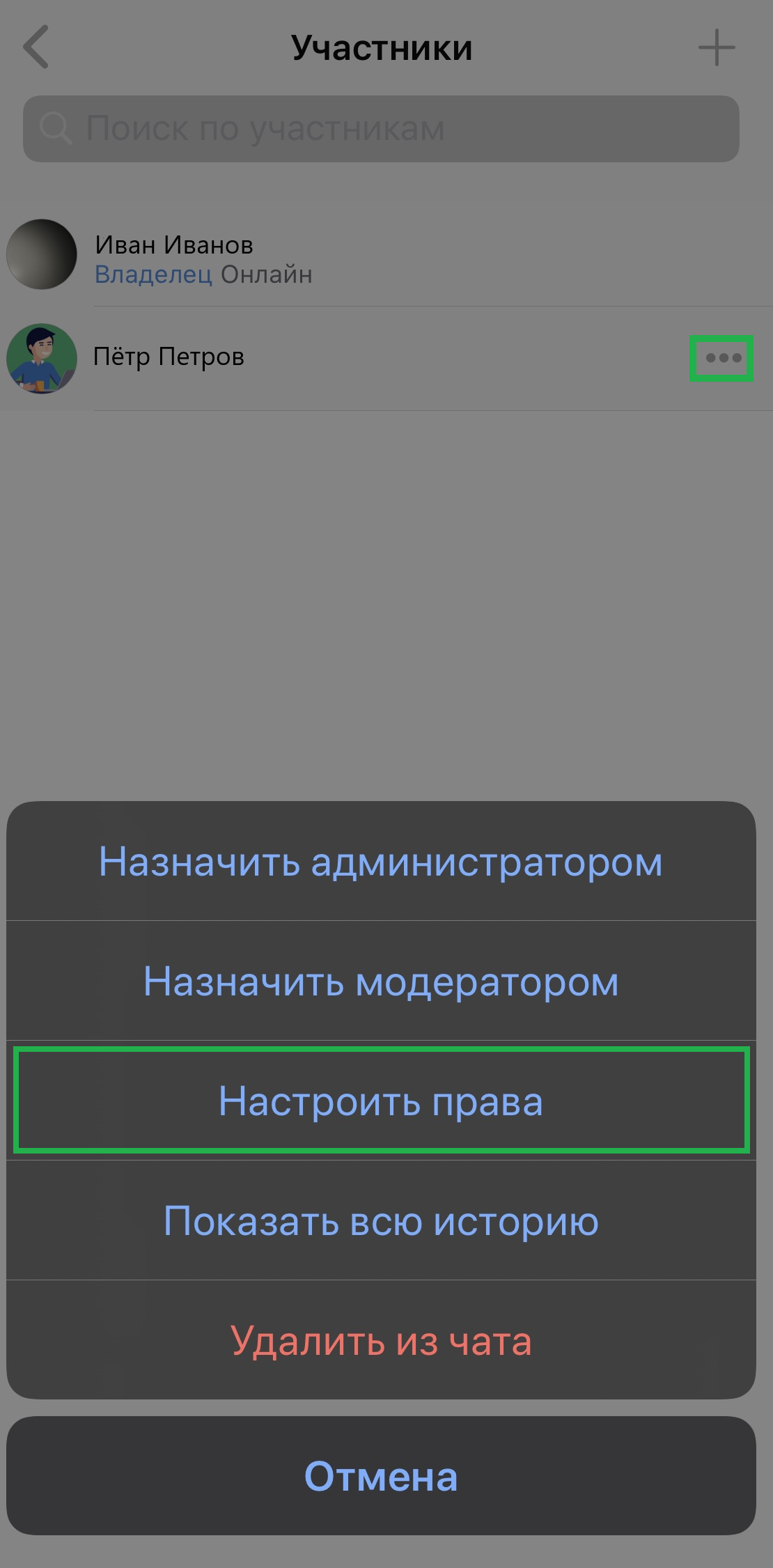 ru:answers:ios:ios_chat_change_rights.png