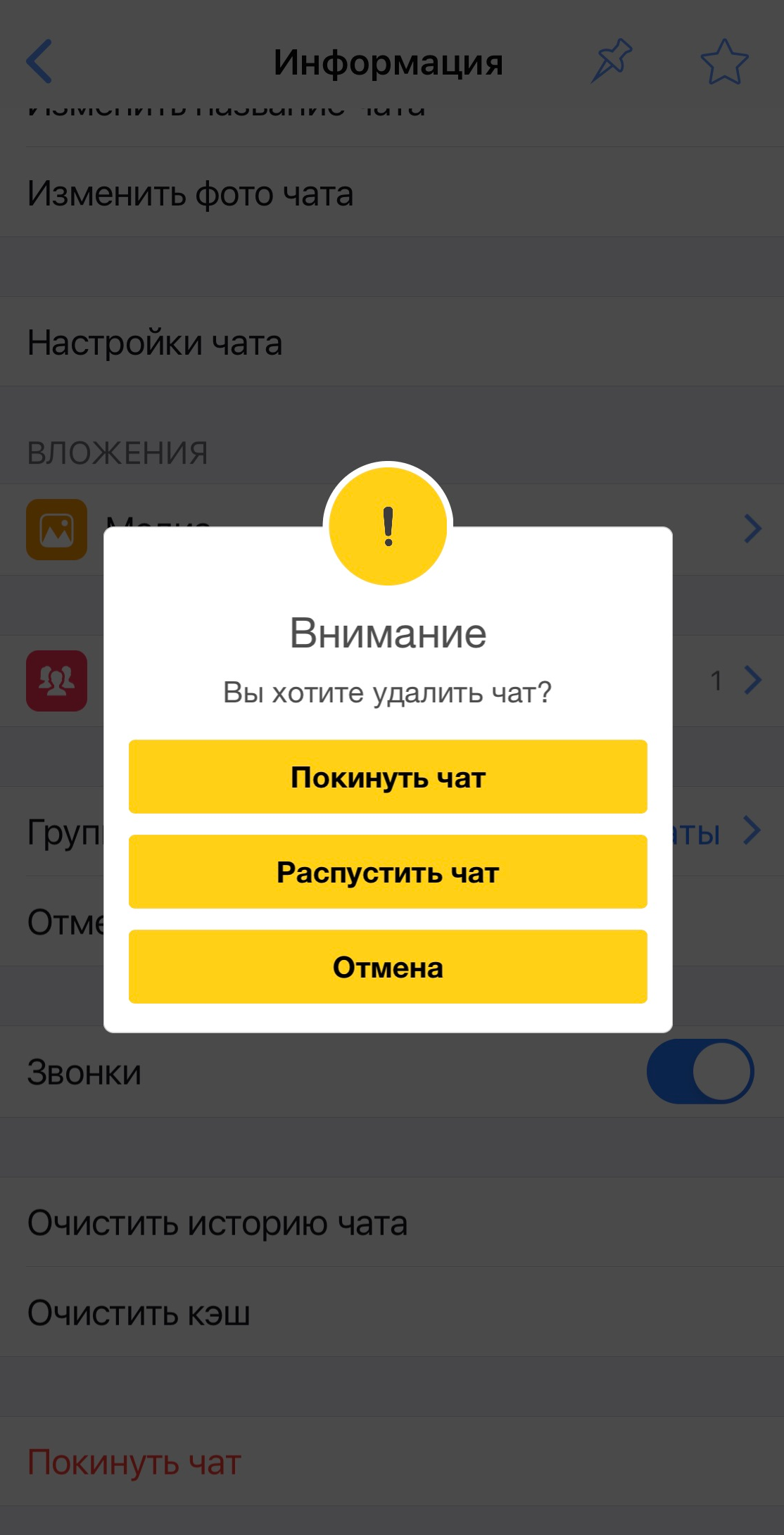 ru:answers:ios:ios_chat_delete.png
