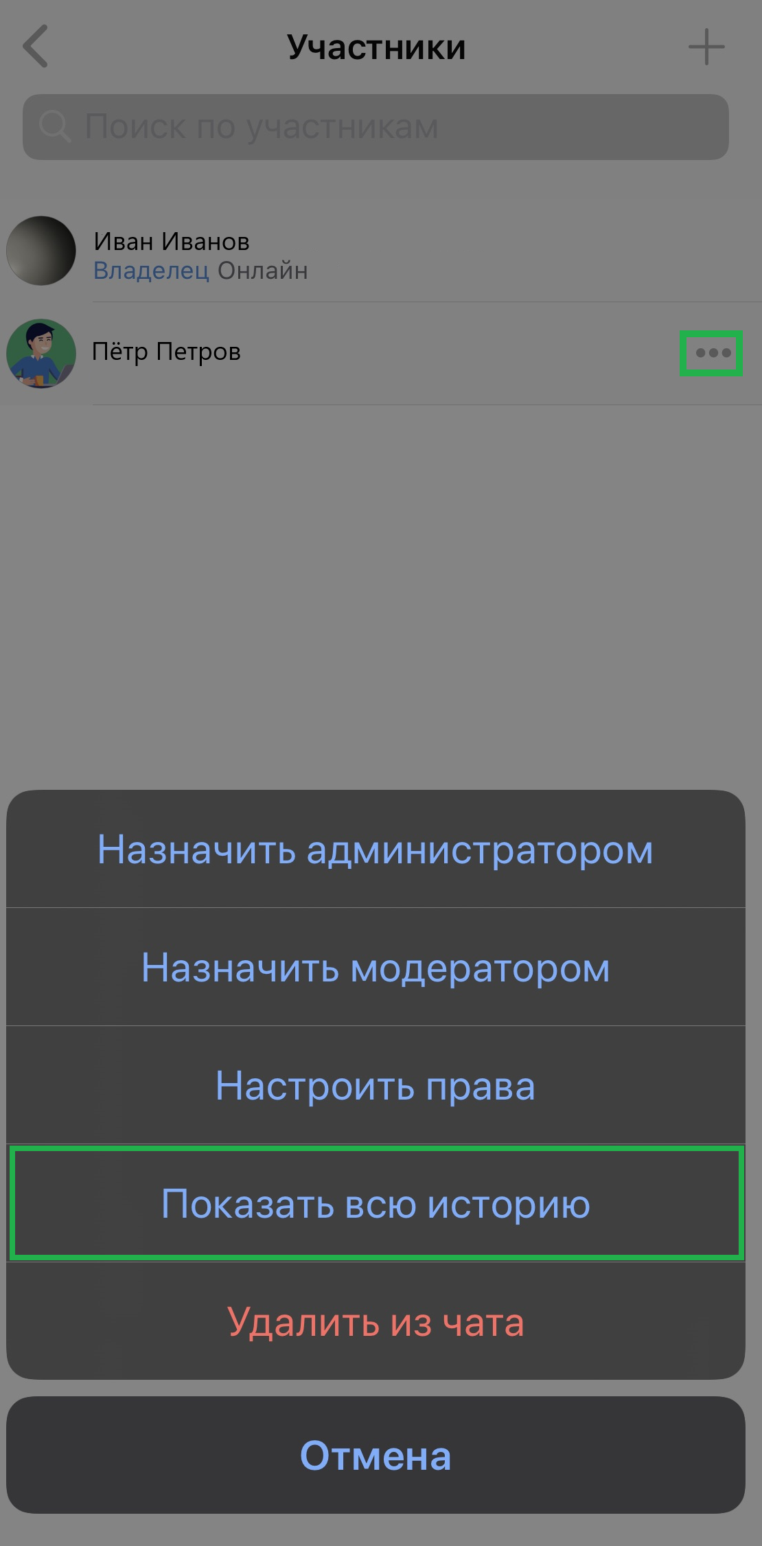 ru:answers:ios:ios_chat_show_history.png