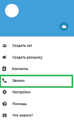 ru:answers:web:web_call.png